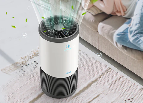 Your Breath of Fresh Air: Unlocking the Power of a Portable Air Purifier