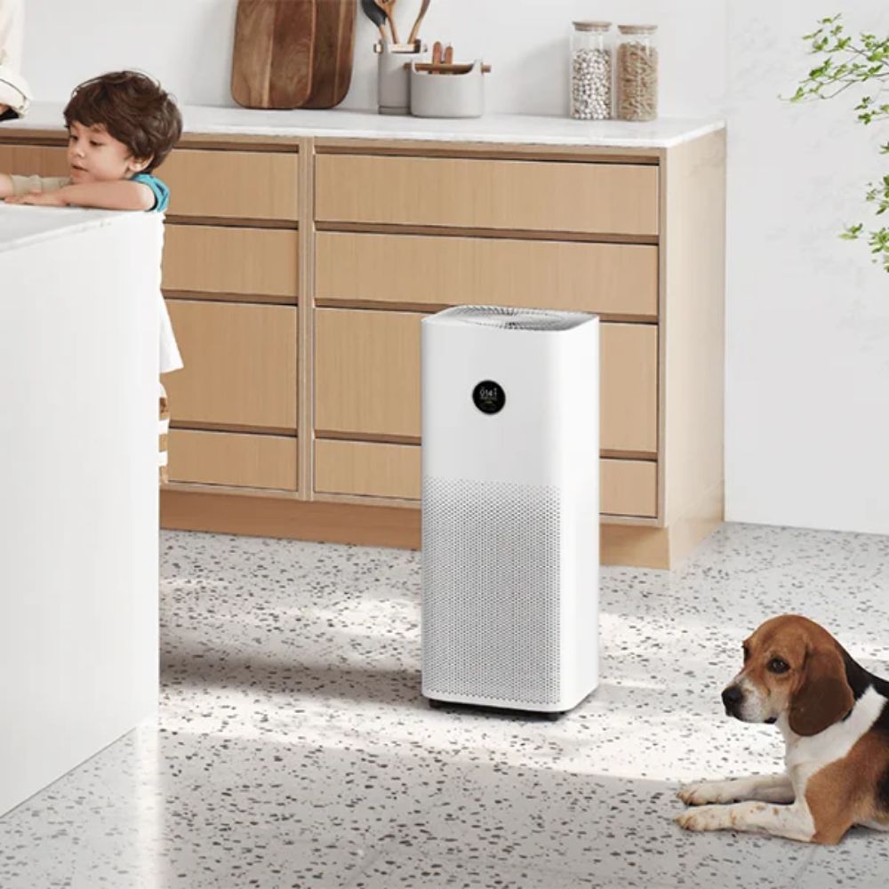Breathe Easy: Unlocking Superior Air Quality with a Hathaspace Air Purifier