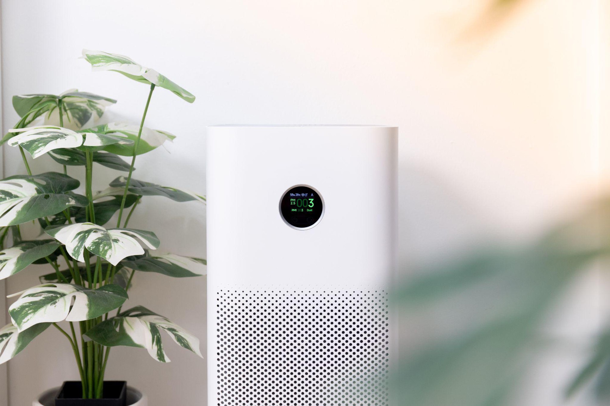 Breathe Easy: Unveiling the Magic of the Rabbit Air Purifier