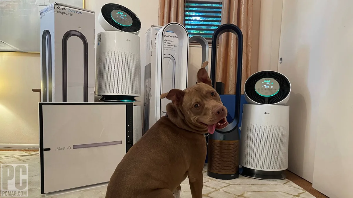 Choosing Your Clean Air Companion: A Home Depot Air Purifier Guide